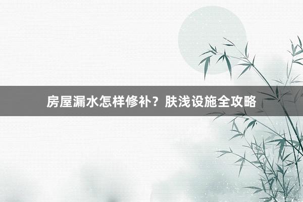 房屋漏水怎样修补?肤浅设施全攻略